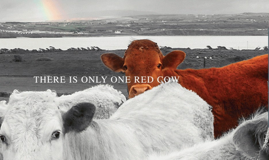 Red Cow Moran Hotel